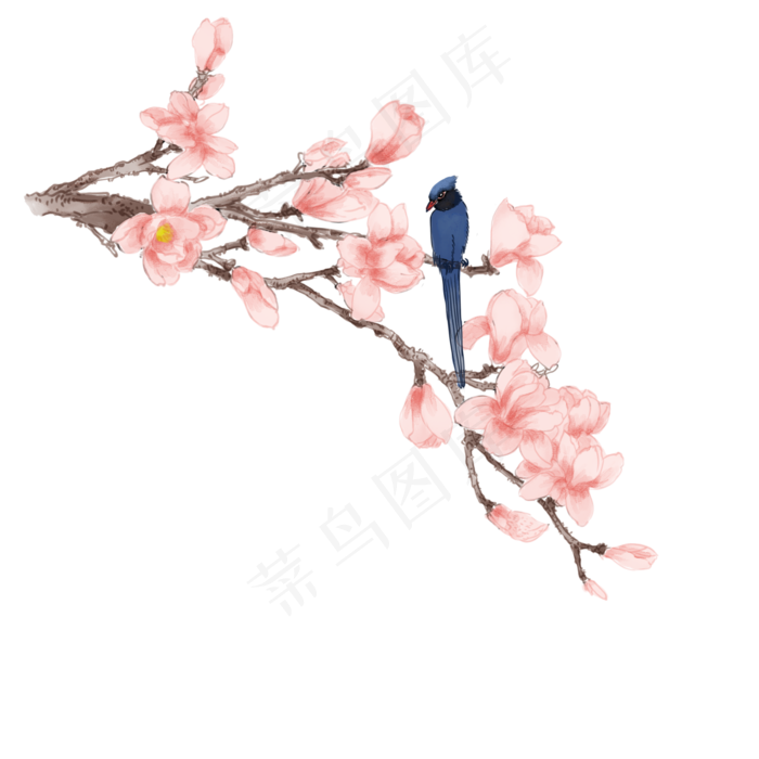 卡通手绘中国风玉兰花