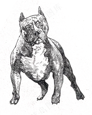 黑白线条手绘小狗装饰图,免抠元素