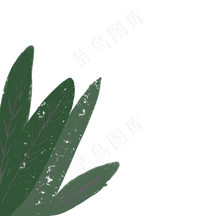 植物绿叶PNG下载
