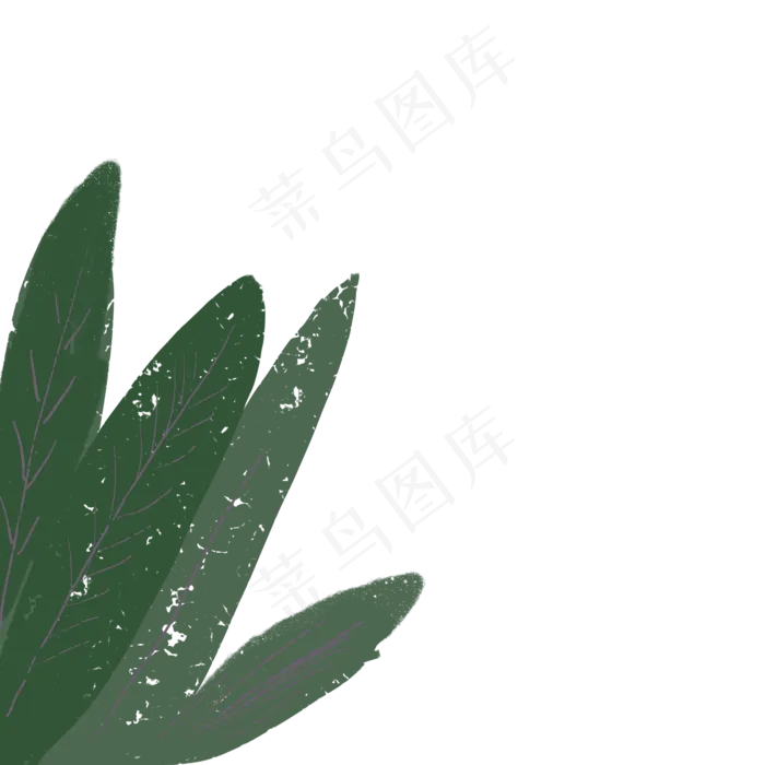 植物绿叶PNG下载(2000X2000(DPI:300))psd模版下载