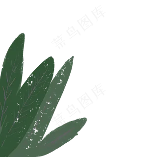 植物绿叶PNG下载