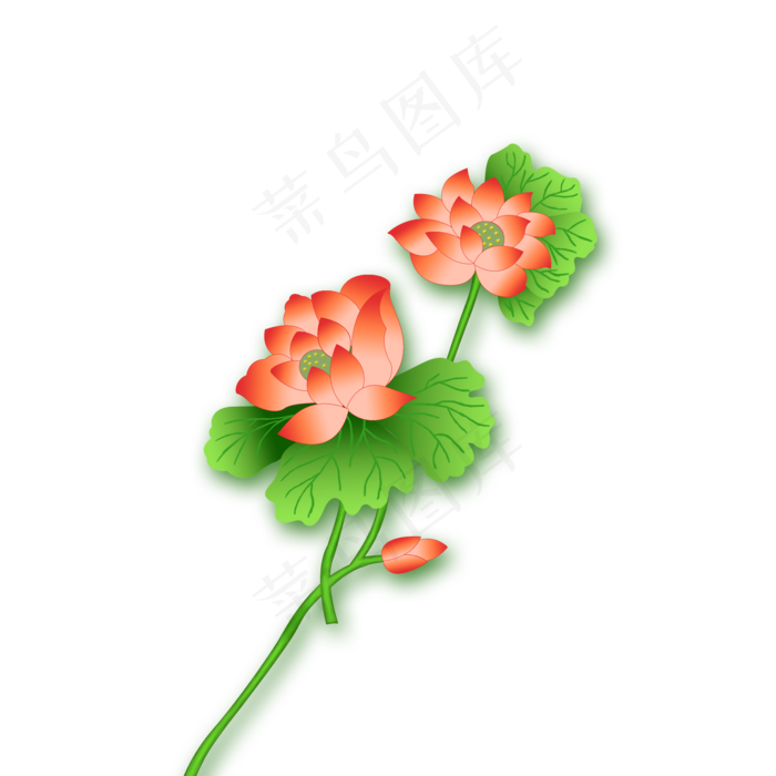 荷花莲花荷叶(2000X2000(DPI:300))psd模版下载