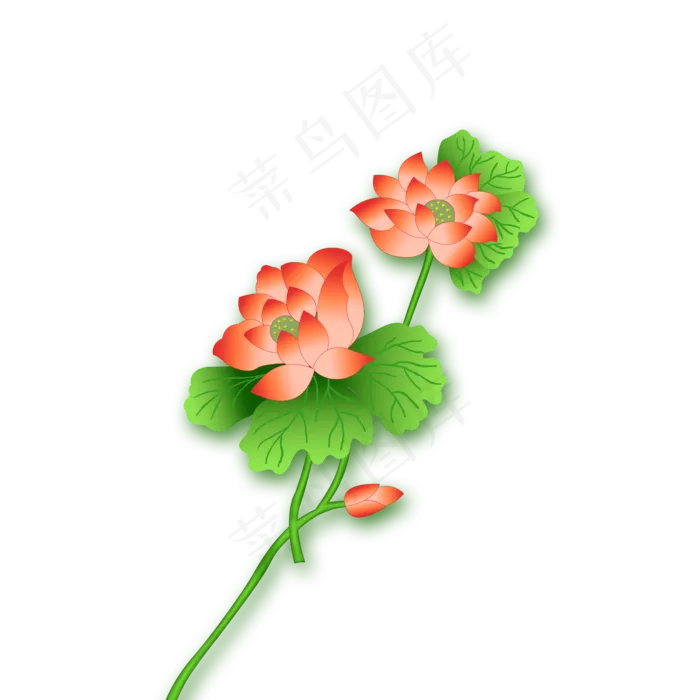 荷花莲花荷叶(2000X2000(DPI:300))psd模版下载