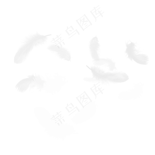 白色漂浮羽毛,免抠元素