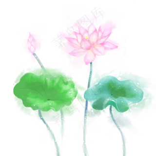 水墨水彩小清新荷花