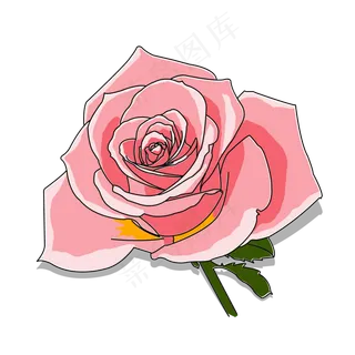 烂漫情人节520礼物花朵玫瑰