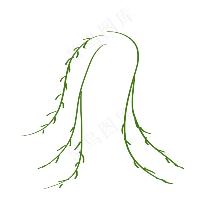 手绘树枝柳树枝插画图案