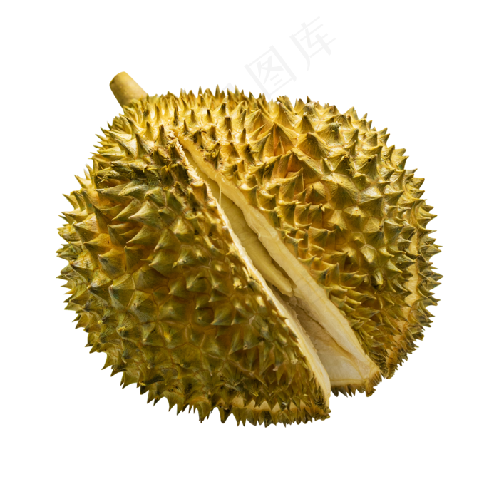一棵大榴莲