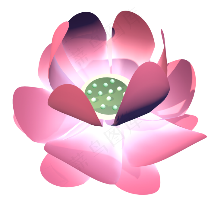 免抠荷花花瓣花蕊