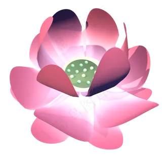 免抠荷花花瓣花蕊