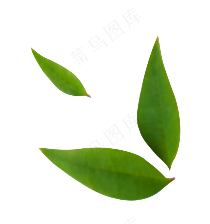 蔬果蔬菜柠檬(2000X2000(DPI:300))