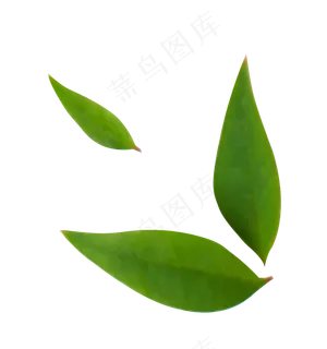 蔬果蔬菜柠檬 蔬果蔬菜柠檬
