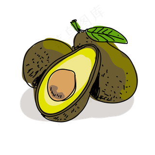 手绘牛油果PNG免抠