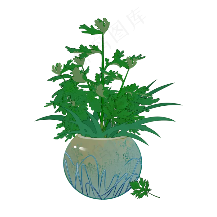 端午节插艾艾草花瓶艾草PNG素材(2000X2000(DPI:300))psd模版下载