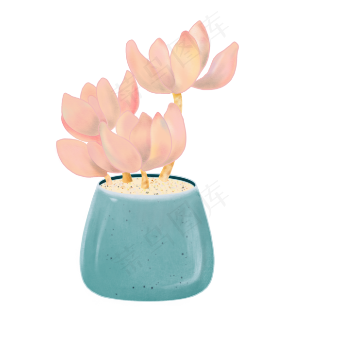 粉色冬美人多肉桌面摆设免抠图