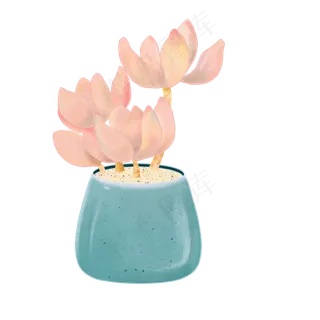 粉色冬美人多肉桌面摆设免抠图