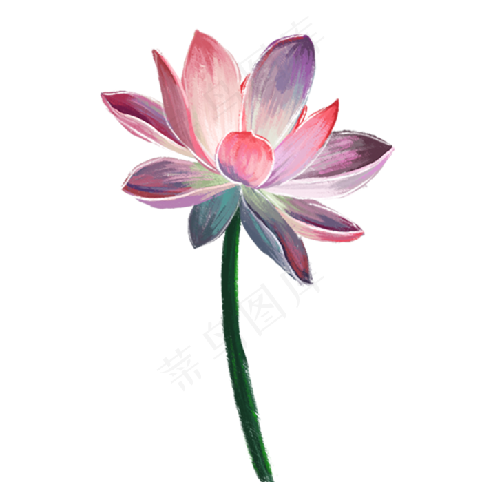 中国风复古荷花插画