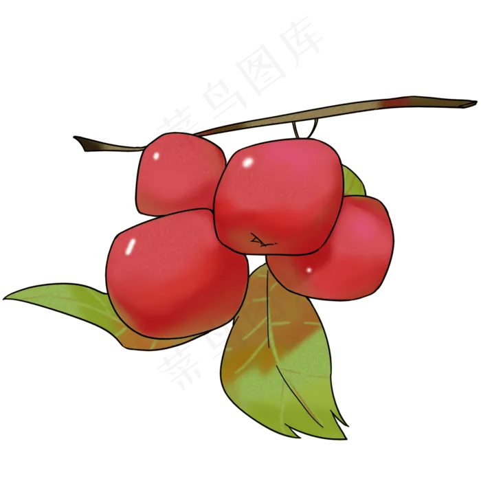 清新四个红色山楂(2000X2000(DPI:299))psd模版下载