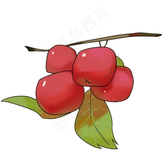 清新四个红色山楂