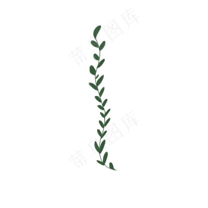 植物绿色叶子下载