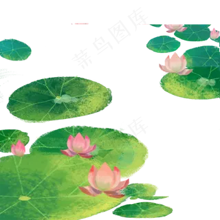 开花的卡通荷花