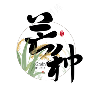 中国风二十四节气芒种艺术字