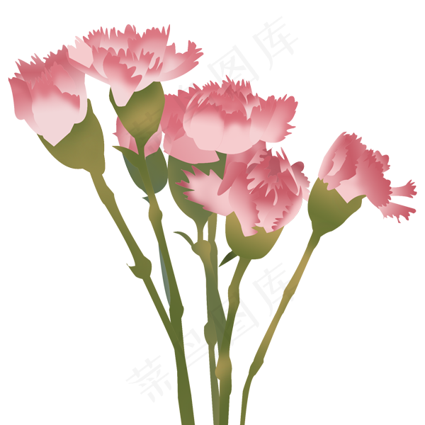 手绘母亲节康乃馨免抠素材