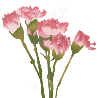 手绘母亲节康乃馨免抠素材