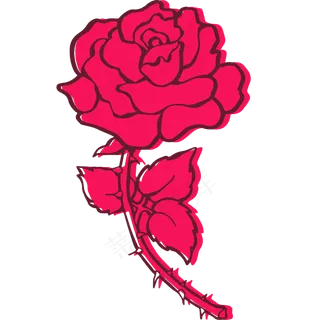 玫红色卡通风格玫瑰