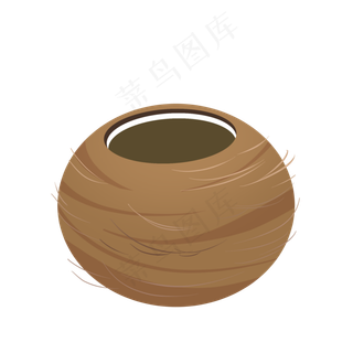 热带水果椰子果实