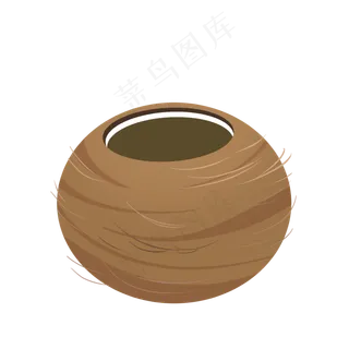 热带水果椰子果实