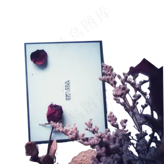 红玫瑰花白画板免扣图