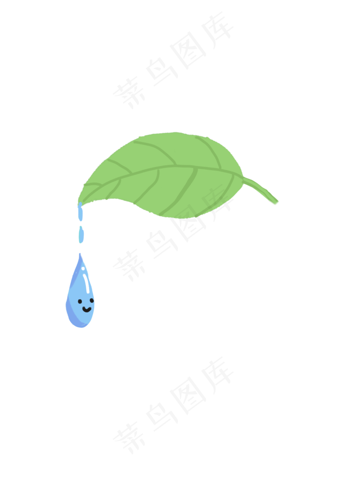 树叶上的水滴