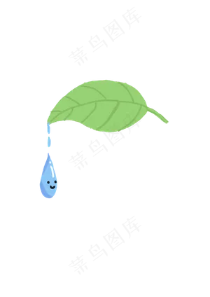 树叶上的水滴