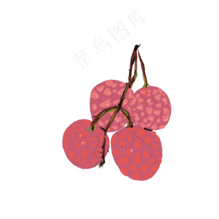 四颗荔枝插图免抠(2000X2000(DPI:132))psd模版下载