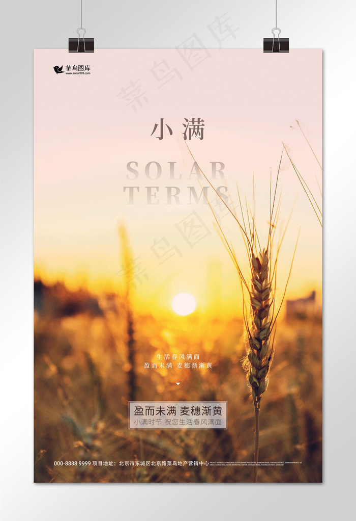 小满小麦褐色海报写实海报