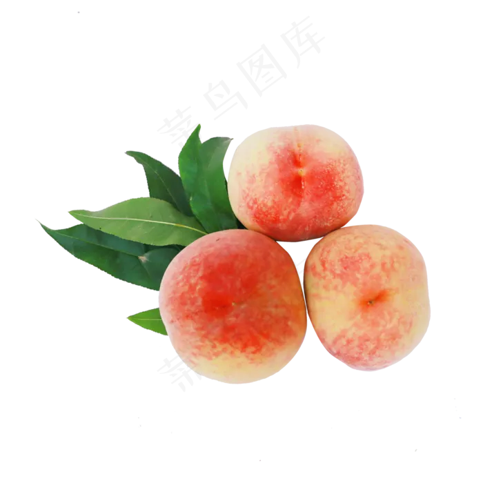 新鲜的桃子(2738X1980(DPI:300))