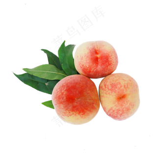 新鲜的桃子