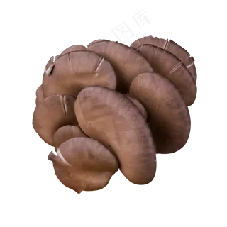 灰色圆弧蘑菇食物元素,免抠元素