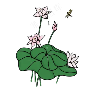 手绘中国风荷花PNG素材