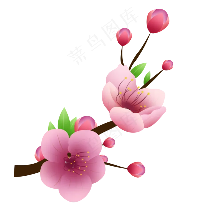 春天春分卡通植物花朵,免抠元素(2000X2000(DPI:300))psd模版下载