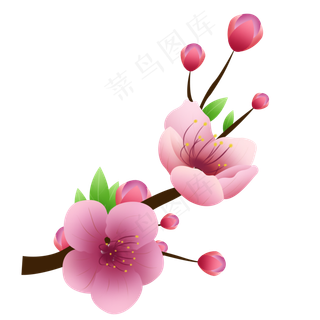 春天春分卡通植物花朵,免抠元素