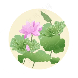 荷花花荷花元素