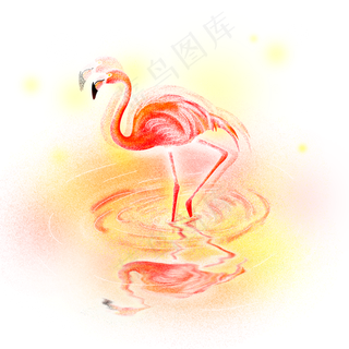 梦幻火烈鸟鸟类动物,免抠元素