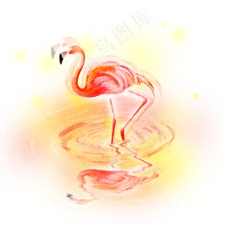 梦幻火烈鸟鸟类动物,免抠元素