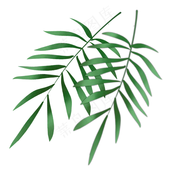 绿色针叶植物(2000X2000(DPI:300))psd模版下载