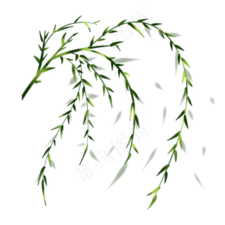 清明节春天吹柳树飘手绘装饰图案