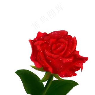 卡通盛开的红色玫瑰免扣图
