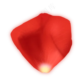 卡通手绘一片花瓣