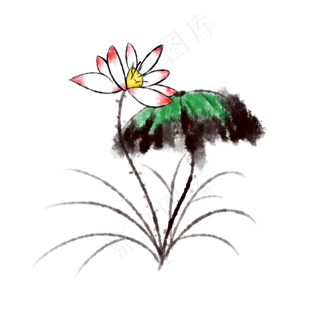 水墨清新手绘荷花